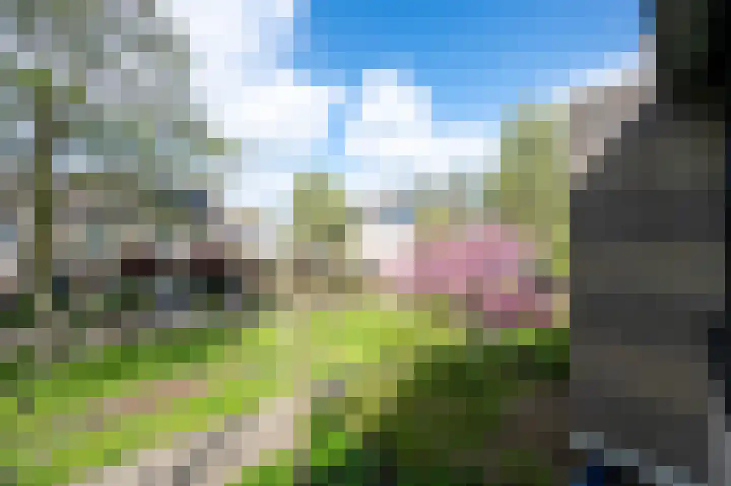 Meerval 33 Bodegraven thumbnail 20