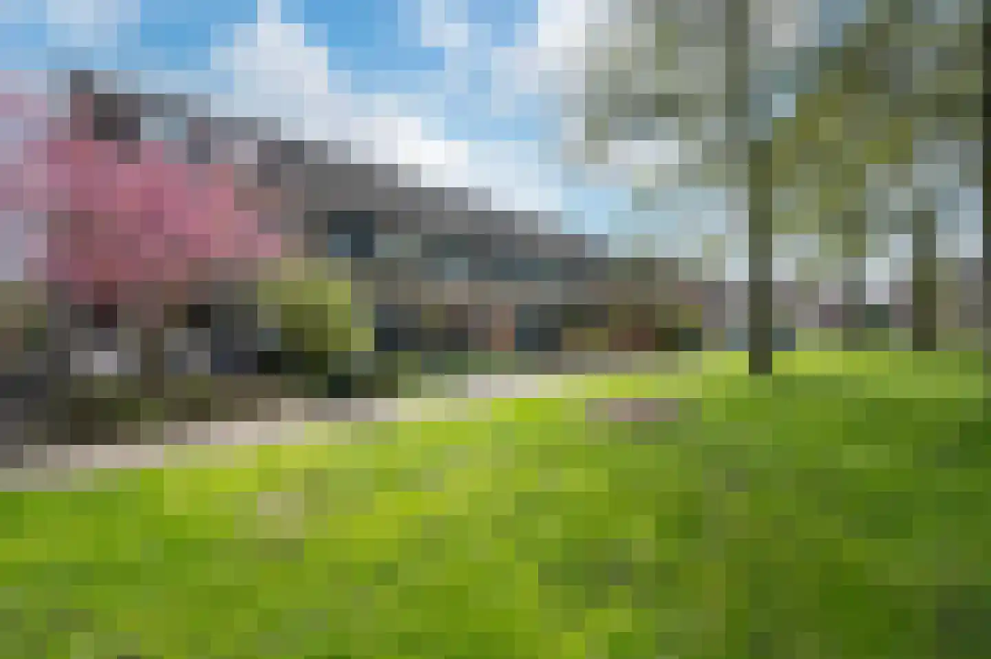 Meerval 33 Bodegraven thumbnail 32
