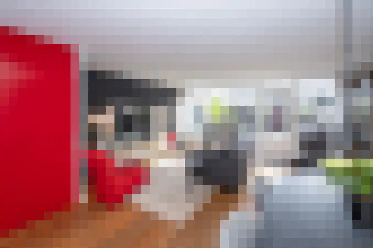 Meerval 33 Bodegraven thumbnail 8