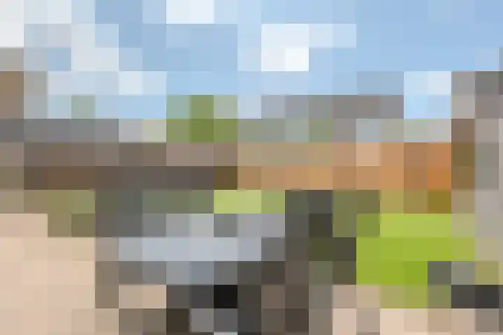 Meerval 35 Hoogeveen thumbnail 33