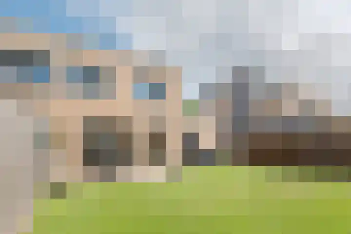 Meerval 35 Hoogeveen thumbnail 35