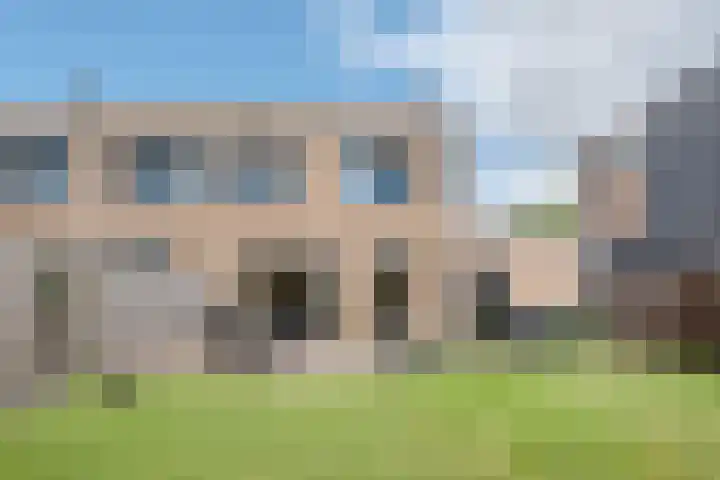 Meerval 35 Hoogeveen thumbnail 36