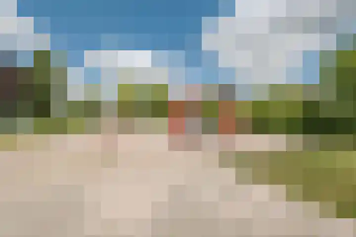 Meerval 35 Hoogeveen thumbnail 43