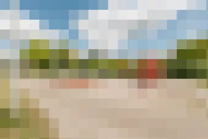 Meerval 35 Hoogeveen thumbnail 44