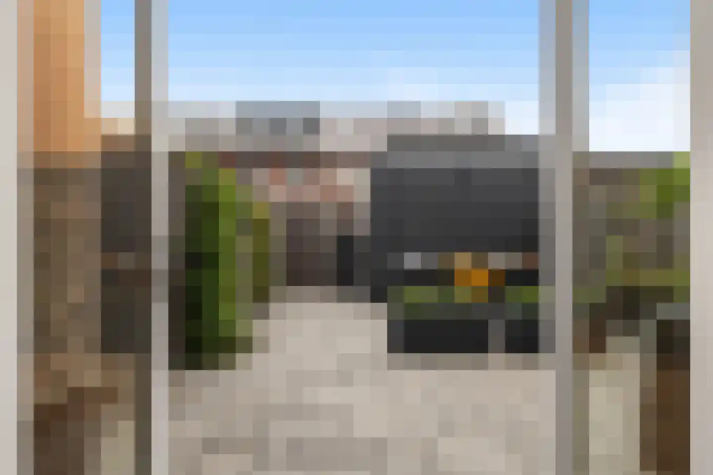 Meerval 39 Hendrik-Ido-Ambacht thumbnail 12
