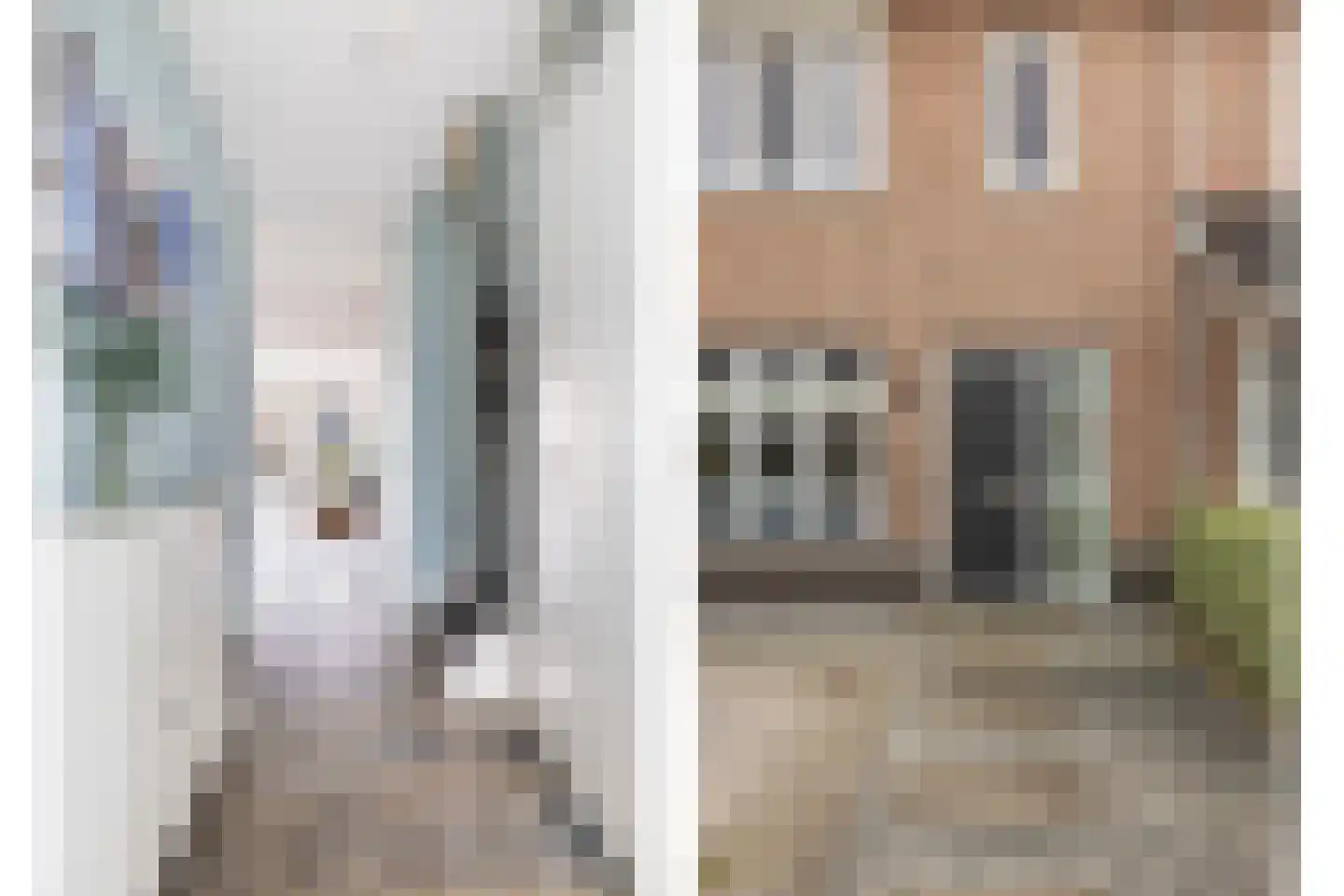 Meerval 39 Hendrik-Ido-Ambacht thumbnail 7