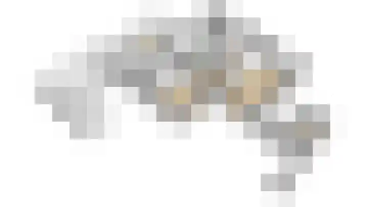 Meerval 4 Hoogeveen thumbnail 101