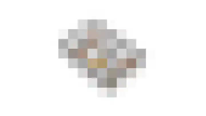 Meerval 4 Hoogeveen thumbnail 105