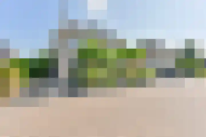 Meerval 4 Hoogeveen thumbnail 109