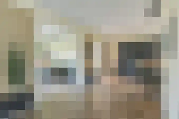 Meerval 4 Hoogeveen thumbnail 20