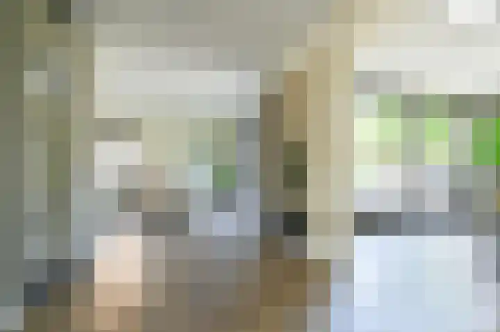 Meerval 4 Hoogeveen thumbnail 22