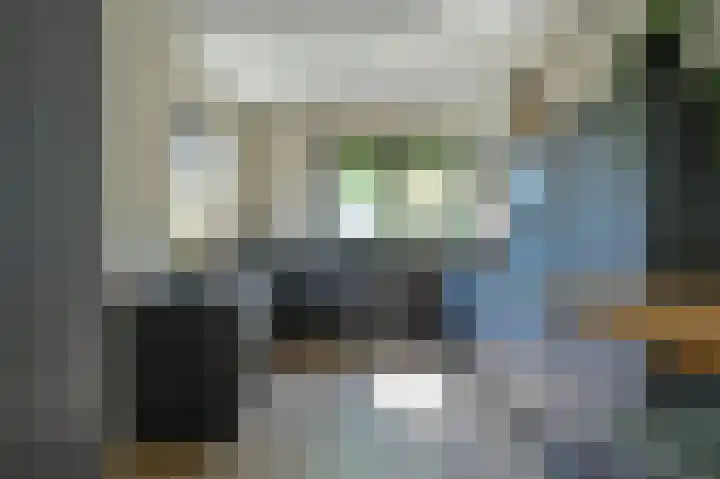 Meerval 4 Hoogeveen thumbnail 30