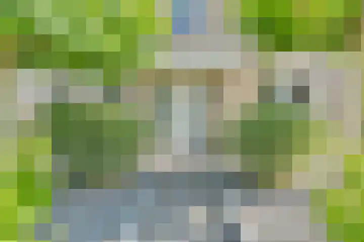 Meerval 4 Hoogeveen thumbnail 4