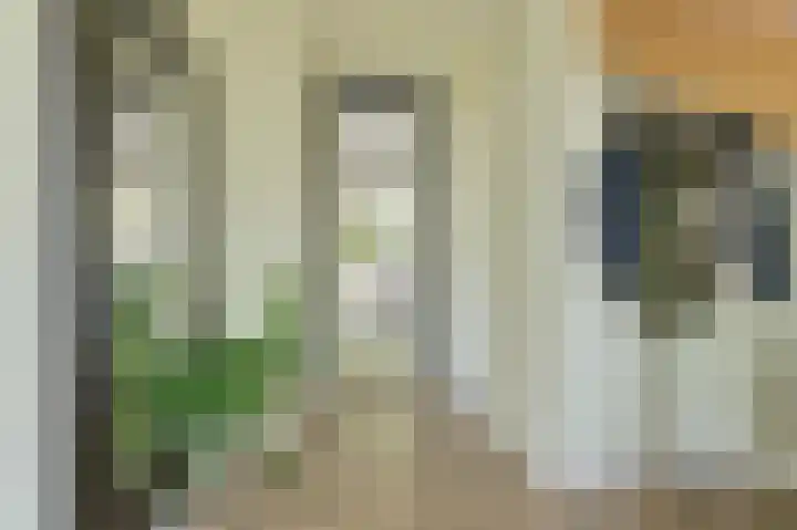 Meerval 4 Hoogeveen thumbnail 5