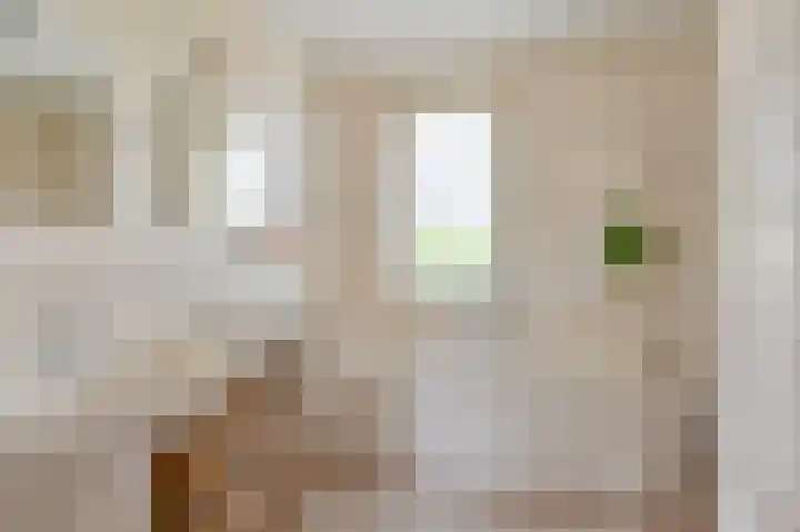 Meerval 4 Hoogeveen thumbnail 54