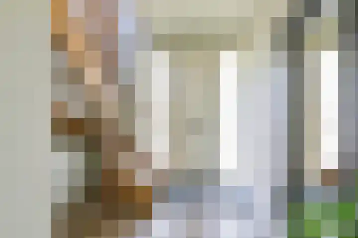 Meerval 4 Hoogeveen thumbnail 6