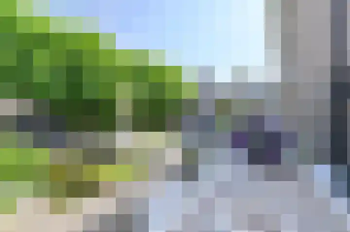 Meerval 4 Hoogeveen thumbnail 77
