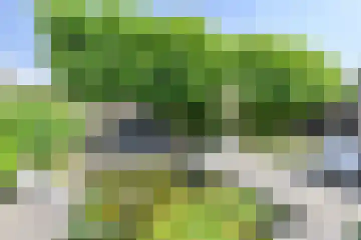 Meerval 4 Hoogeveen thumbnail 78