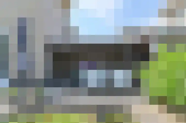 Meerval 4 Hoogeveen thumbnail 79