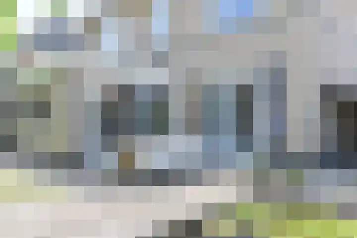 Meerval 4 Hoogeveen thumbnail 80