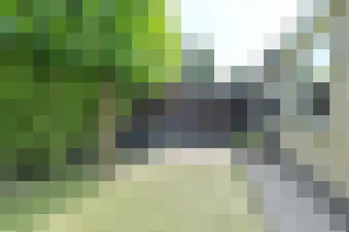 Meerval 4 Hoogeveen thumbnail 83