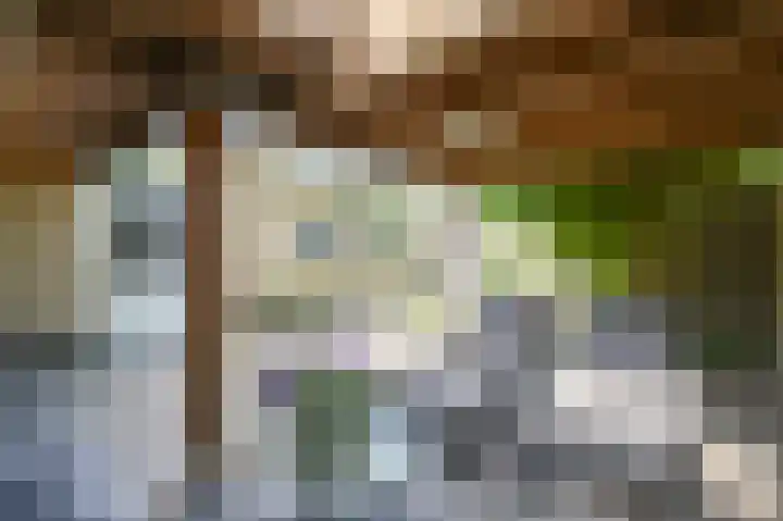 Meerval 4 Hoogeveen thumbnail 86
