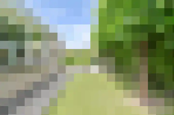 Meerval 4 Hoogeveen thumbnail 88
