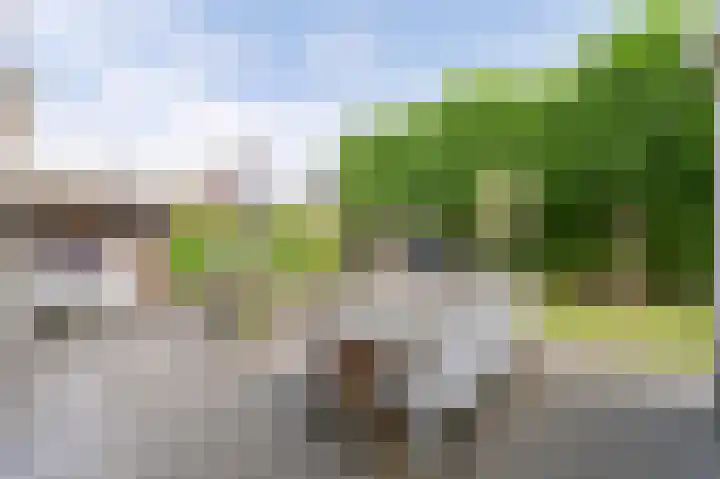 Meerval 4 Hoogeveen thumbnail 89