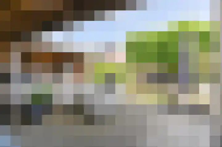 Meerval 4 Hoogeveen thumbnail 91