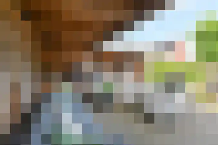 Meerval 4 Hoogeveen thumbnail 92