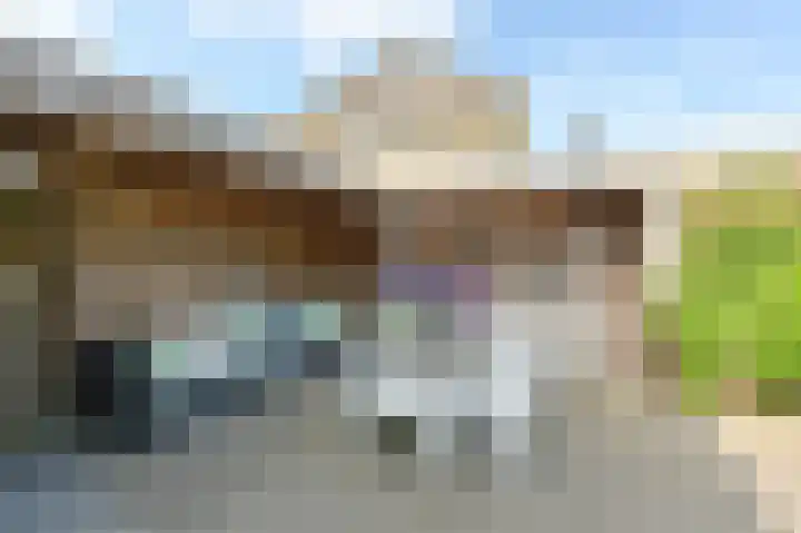 Meerval 4 Hoogeveen thumbnail 93