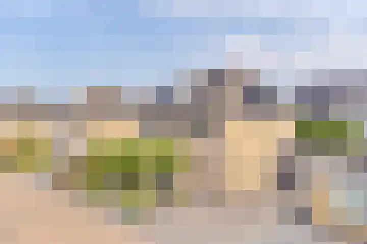 Meerval 4 Hoogeveen thumbnail 94