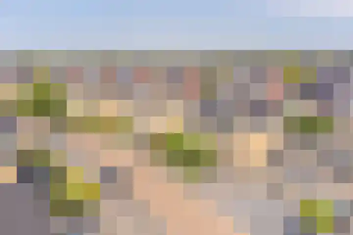 Meerval 4 Hoogeveen thumbnail 95