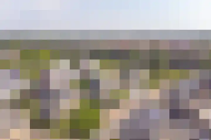 Meerval 4 Hoogeveen thumbnail 98