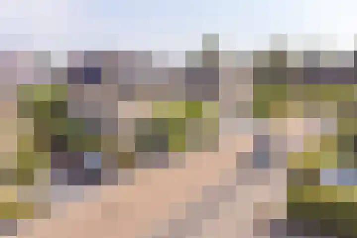 Meerval 4 Hoogeveen thumbnail 99