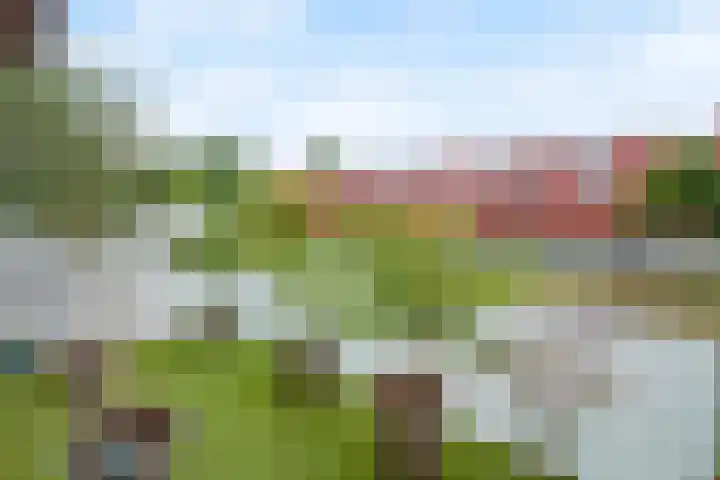 Meerval 42 Amersfoort thumbnail 11