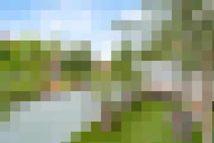 Meerval 42 Amersfoort thumbnail 12