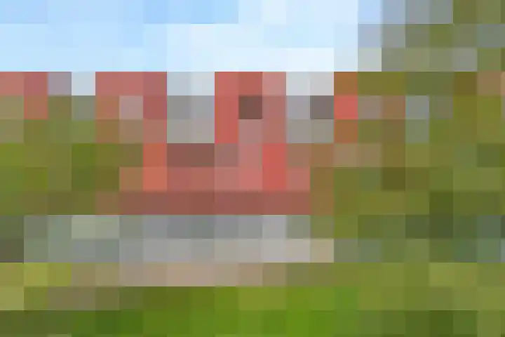 Meerval 42 Amersfoort thumbnail 23