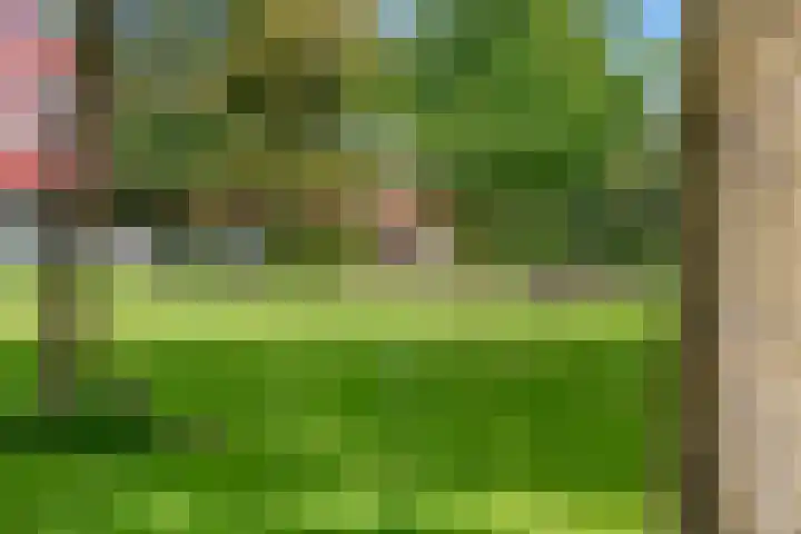 Meerval 42 Amersfoort thumbnail 29