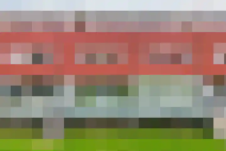 Meerval 42 Amersfoort thumbnail 31