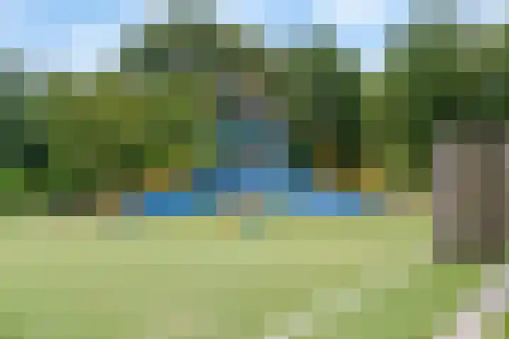 Meerval 42 Amersfoort thumbnail 34
