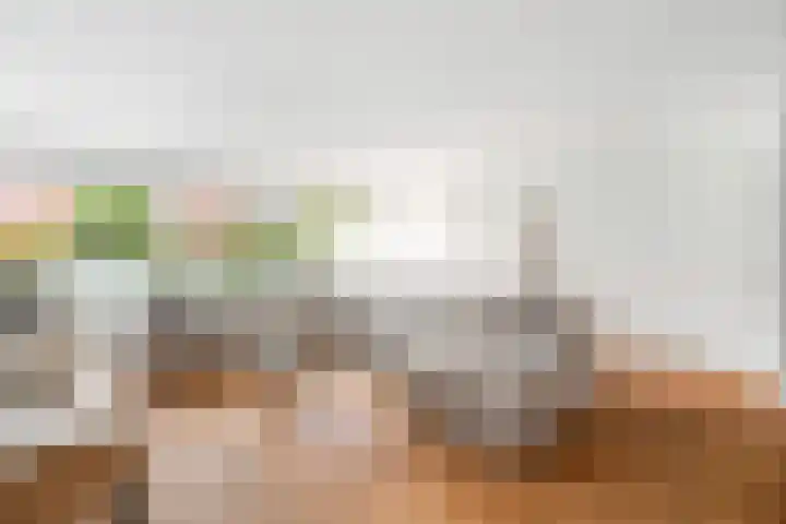 Meerval 42 Amersfoort thumbnail 7