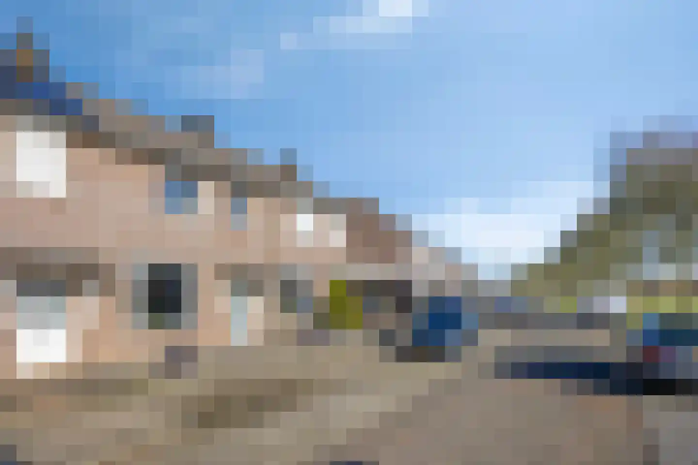 Meerval 47 Oss thumbnail 24