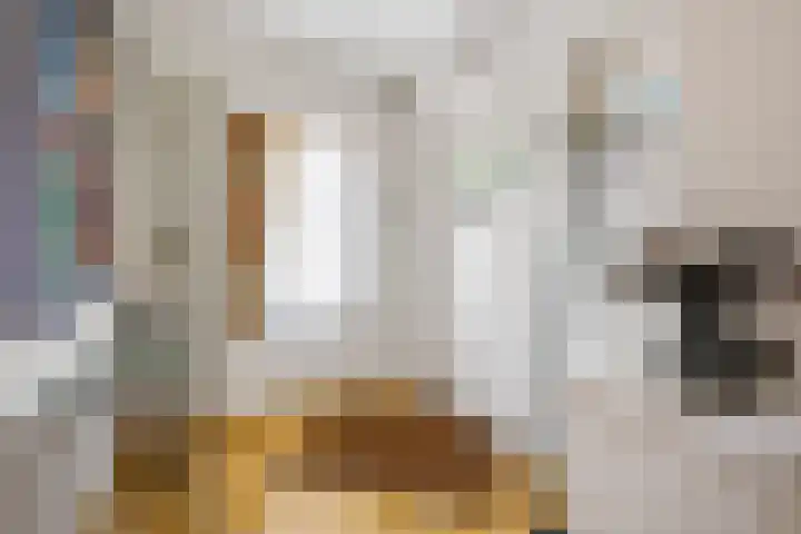 Meerval 47 Oss thumbnail 26