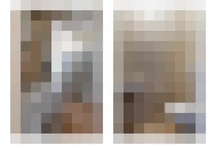 Meerval 47 Oss thumbnail 29