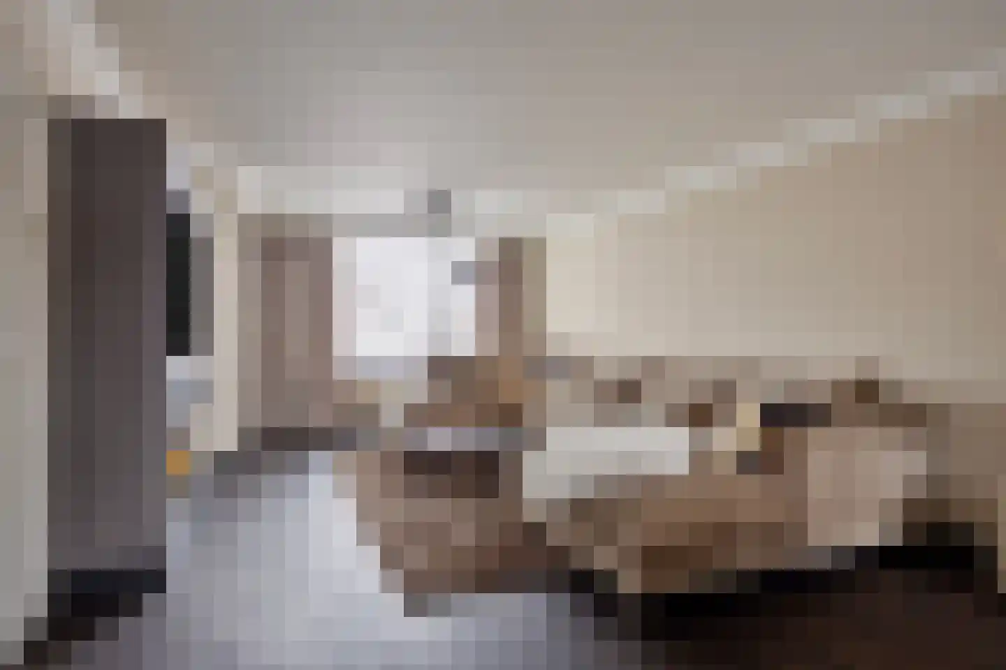 Meerval 47 Oss thumbnail 4