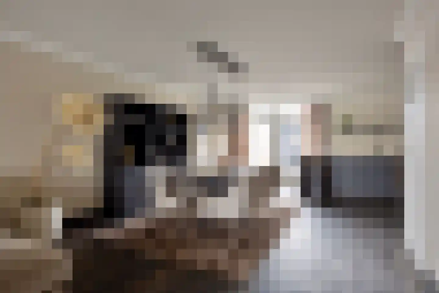 Meerval 47 Oss thumbnail 7