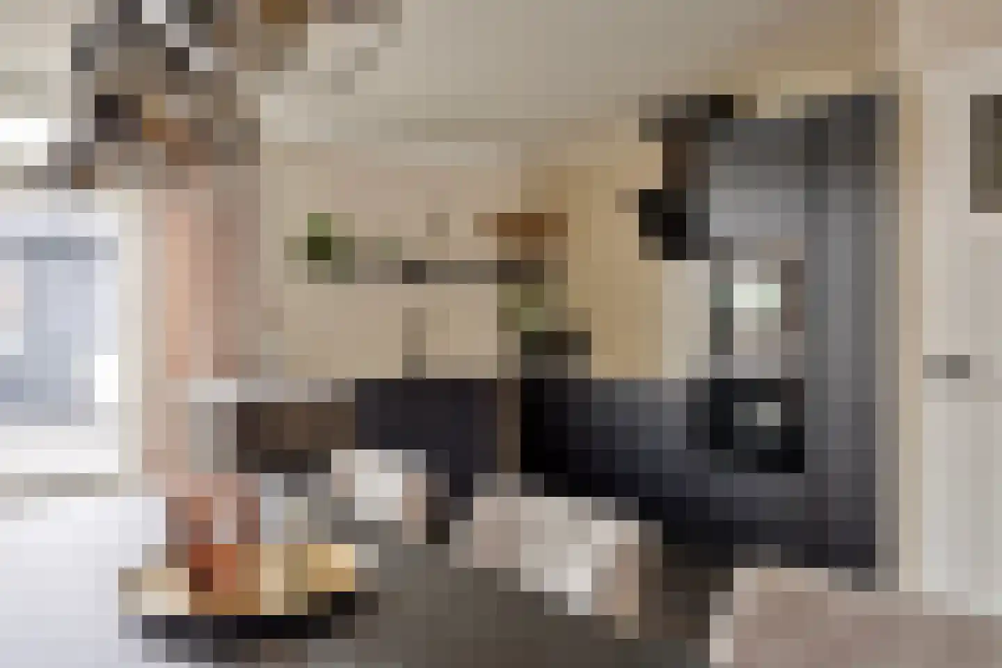 Meerval 47 Oss thumbnail 9