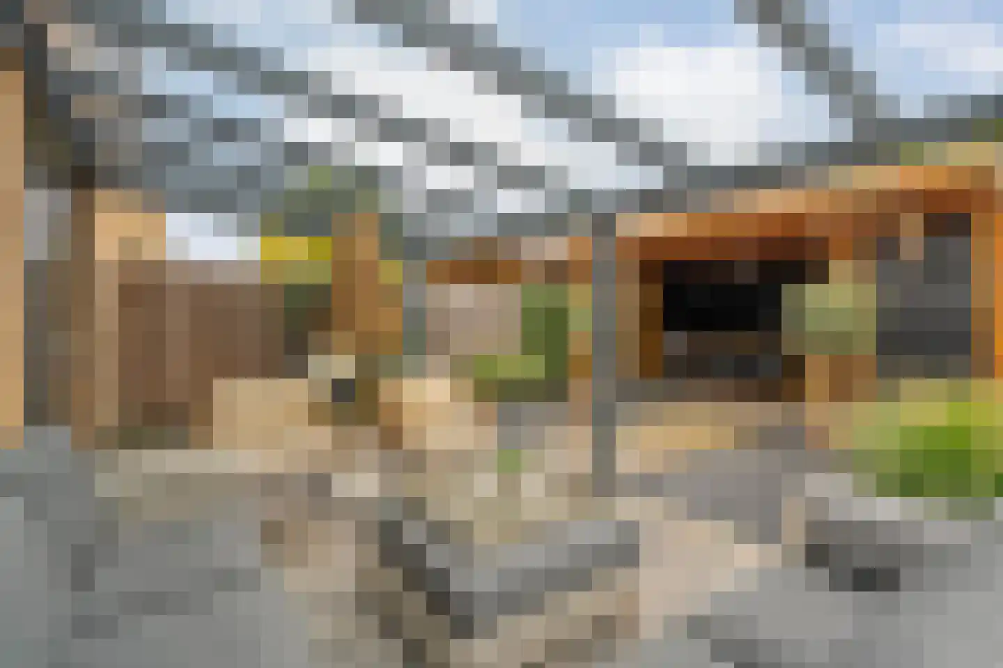 Meerval 49 Hoogeveen thumbnail 31