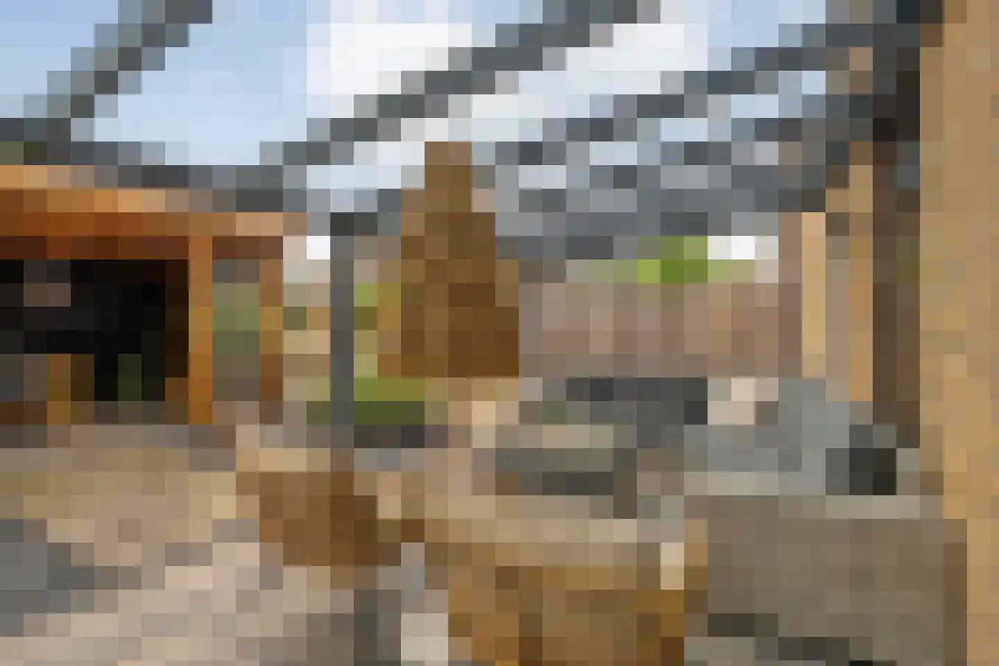 Meerval 49 Hoogeveen thumbnail 32